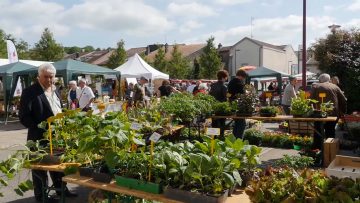 2015 – La main verte : Marché aux fleurs et de l’artisanat