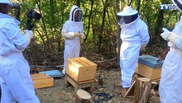 2020 – Julien explique les ruches et nous parle de l’association Bzzz Abeille